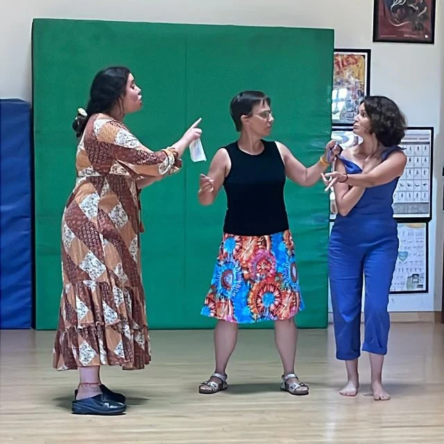 Adult participants in an expressive group movement exercise during a Waldorf High School Teacher Education Program session